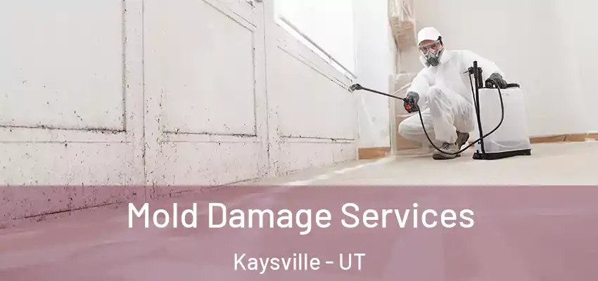  Mold Damage Services Kaysville - UT