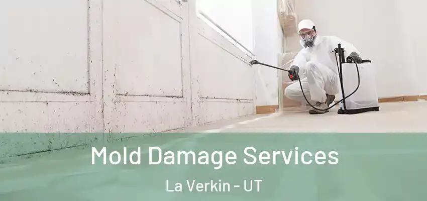 Mold Damage Services La Verkin - UT