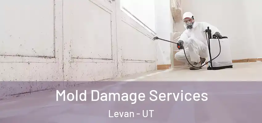 Mold Damage Services Levan - UT