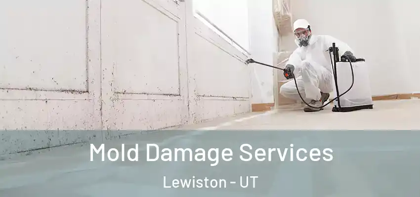  Mold Damage Services Lewiston - UT