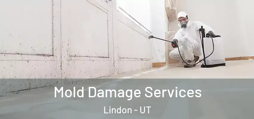 Mold Damage Services Lindon - UT