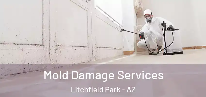  Mold Damage Services Litchfield Park - AZ