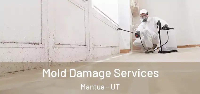  Mold Damage Services Mantua - UT