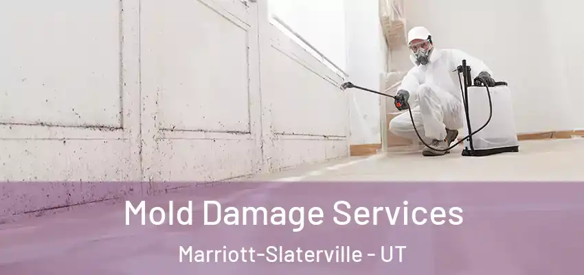  Mold Damage Services Marriott-Slaterville - UT