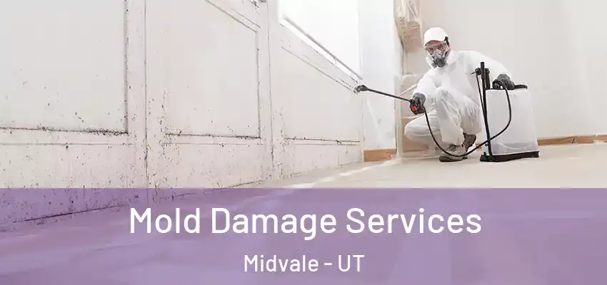 Mold Damage Services Midvale - UT