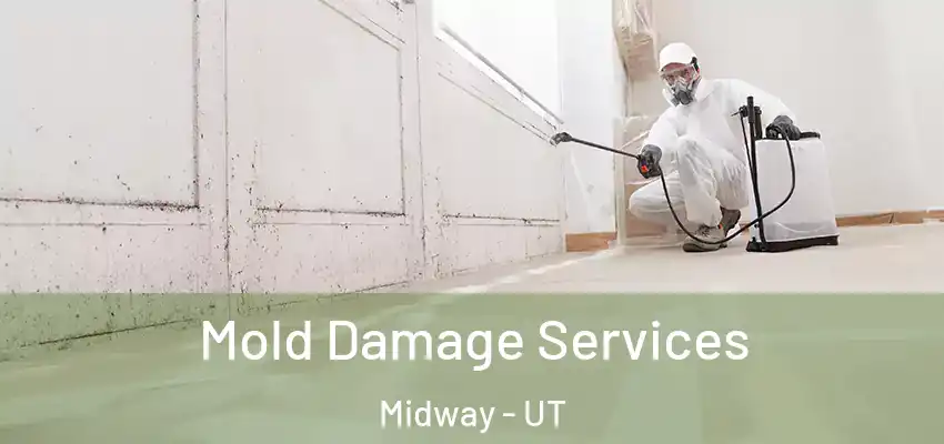  Mold Damage Services Midway - UT