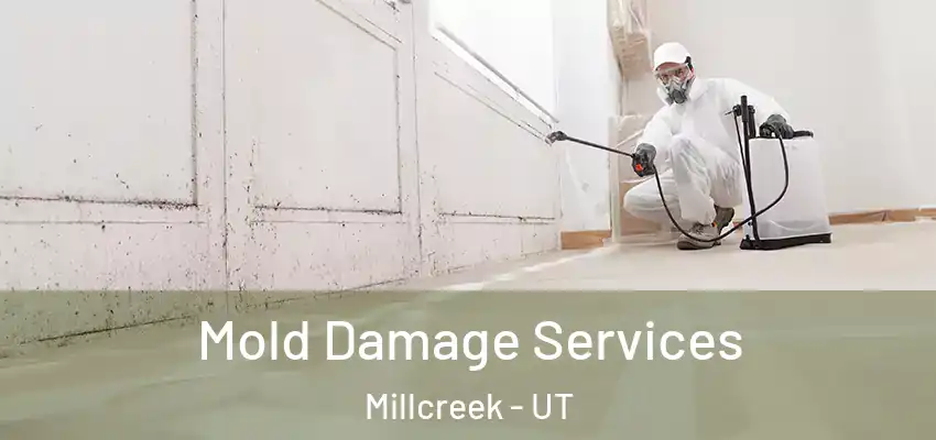 Mold Damage Services Millcreek - UT