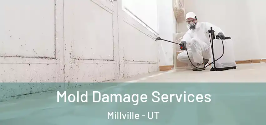  Mold Damage Services Millville - UT