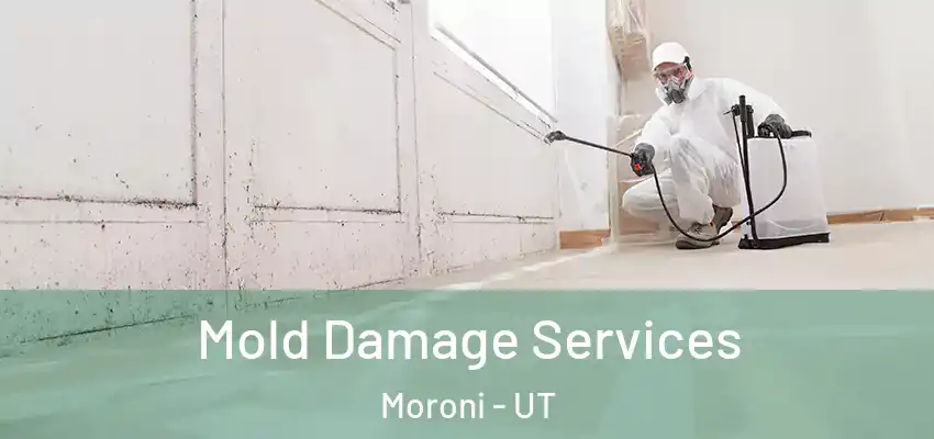  Mold Damage Services Moroni - UT