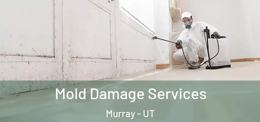  Mold Damage Services Murray - UT