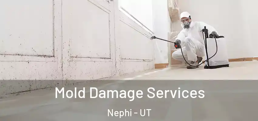 Mold Damage Services Nephi - UT