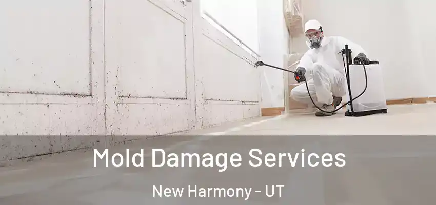 Mold Damage Services New Harmony - UT