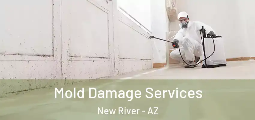 Mold Damage Services New River - AZ
