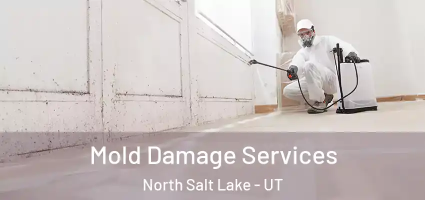  Mold Damage Services North Salt Lake - UT