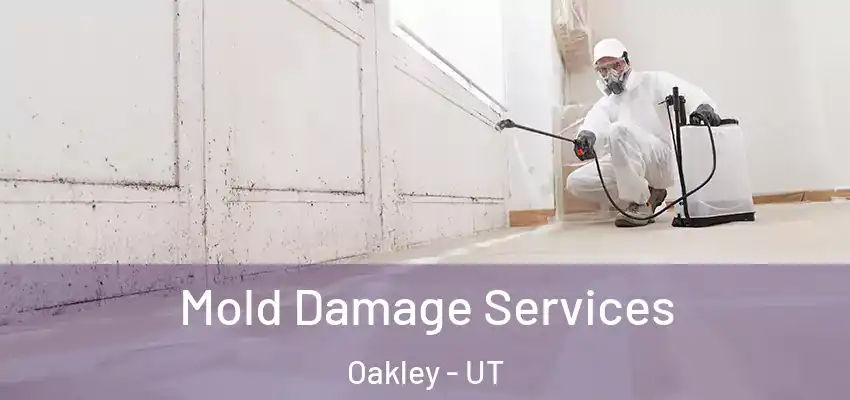 Mold Damage Services Oakley - UT