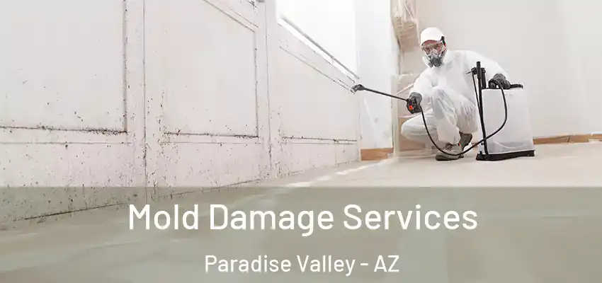  Mold Damage Services Paradise Valley - AZ