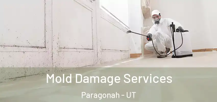 Mold Damage Services Paragonah - UT
