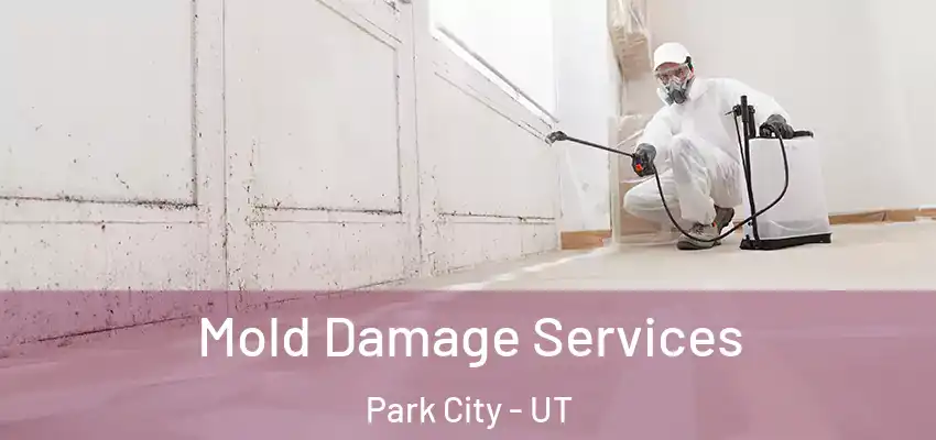 Mold Damage Services Park City - UT
