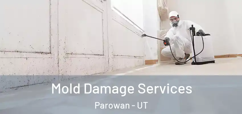 Mold Damage Services Parowan - UT