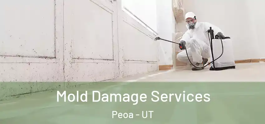  Mold Damage Services Peoa - UT