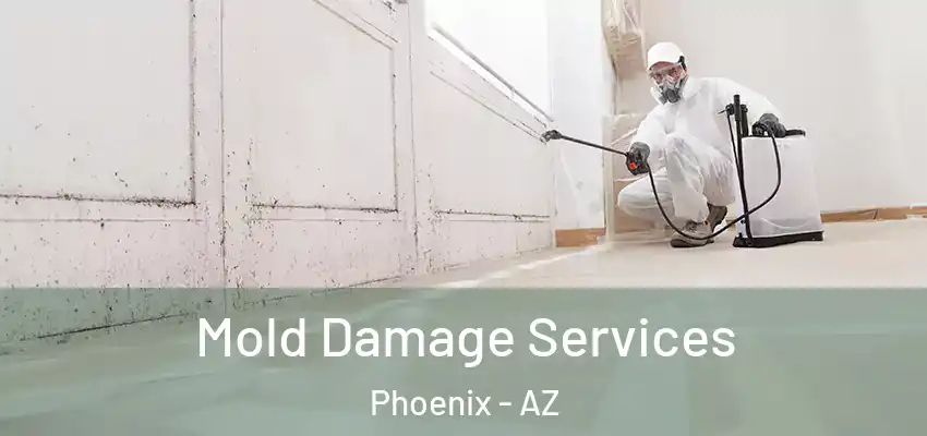  Mold Damage Services Phoenix - AZ