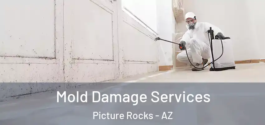  Mold Damage Services Picture Rocks - AZ