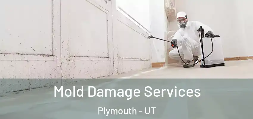  Mold Damage Services Plymouth - UT