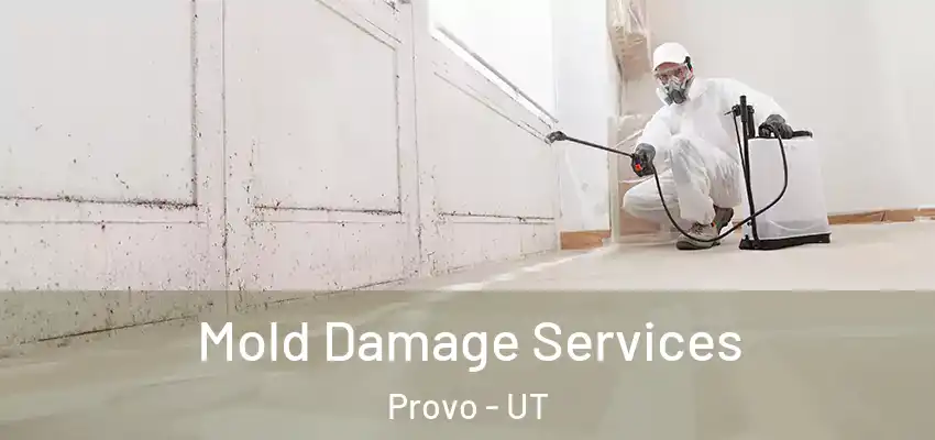 Mold Damage Services Provo - UT