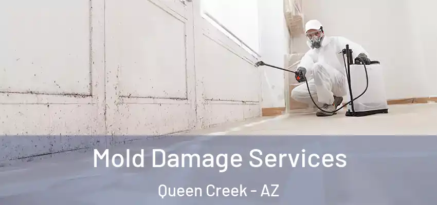  Mold Damage Services Queen Creek - AZ