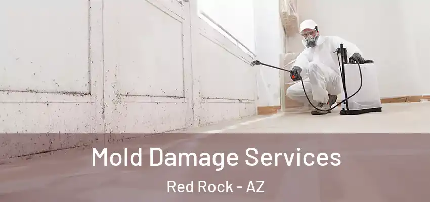 Mold Damage Services Red Rock - AZ