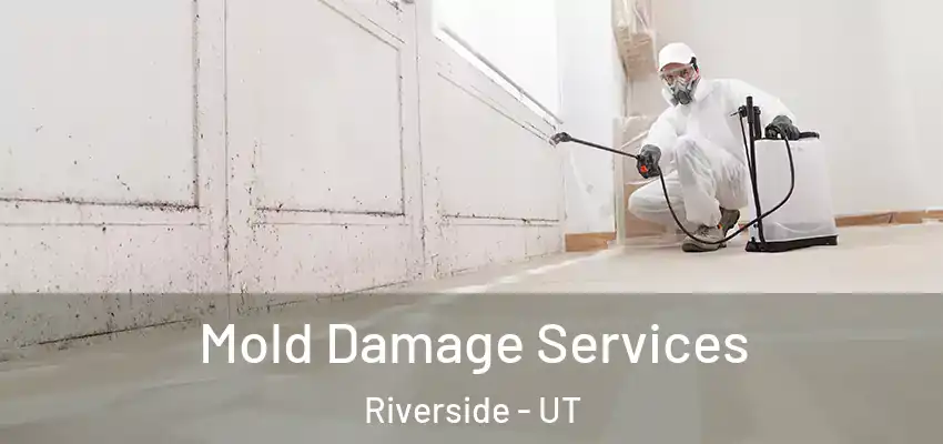  Mold Damage Services Riverside - UT