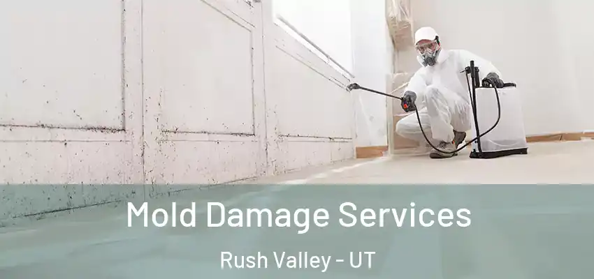 Mold Damage Services Rush Valley - UT