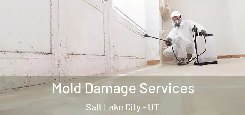  Mold Damage Services Salt Lake City - UT