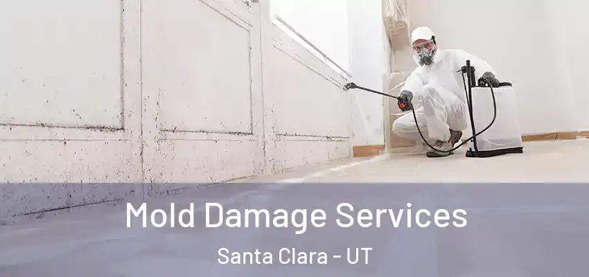 Mold Damage Services Santa Clara - UT