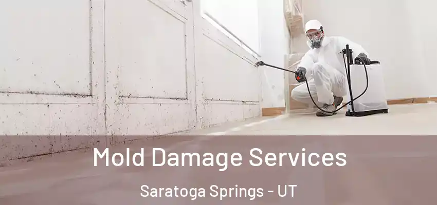 Mold Damage Services Saratoga Springs - UT