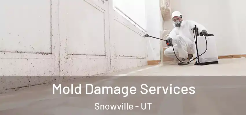  Mold Damage Services Snowville - UT