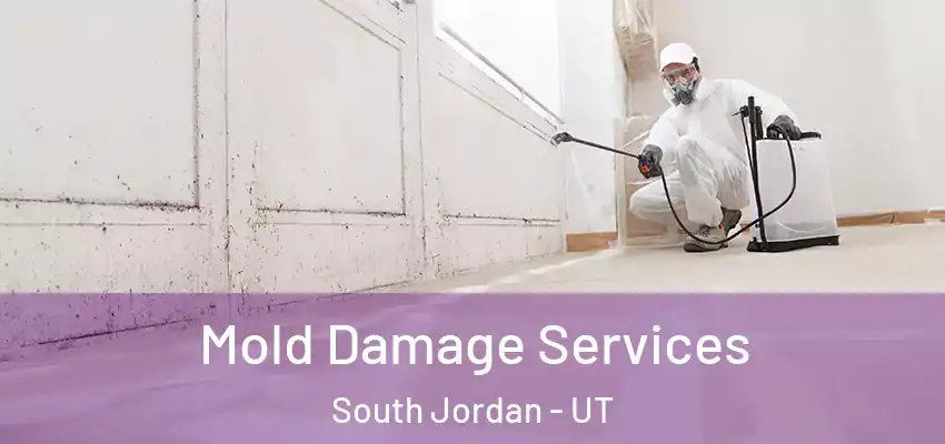  Mold Damage Services South Jordan - UT
