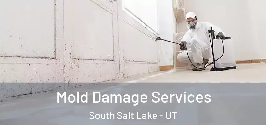  Mold Damage Services South Salt Lake - UT