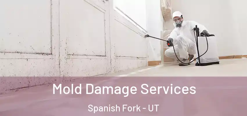 Mold Damage Services Spanish Fork - UT
