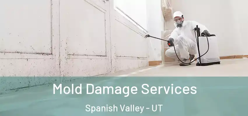  Mold Damage Services Spanish Valley - UT