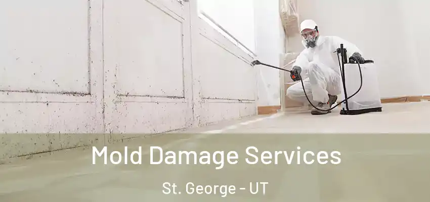 Mold Damage Services St. George - UT
