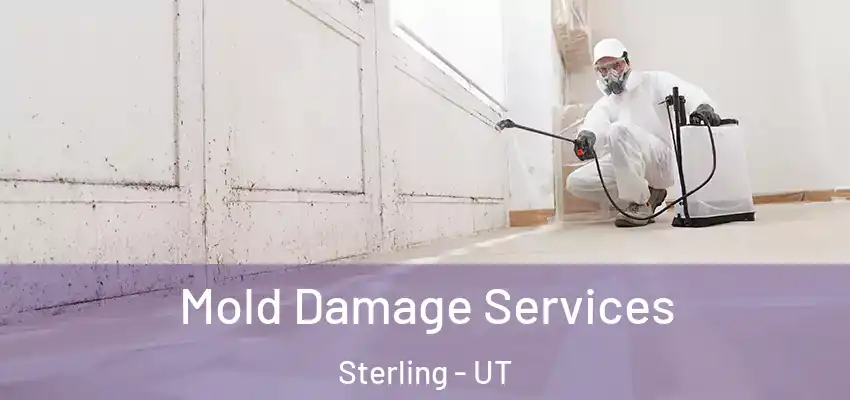 Mold Damage Services Sterling - UT