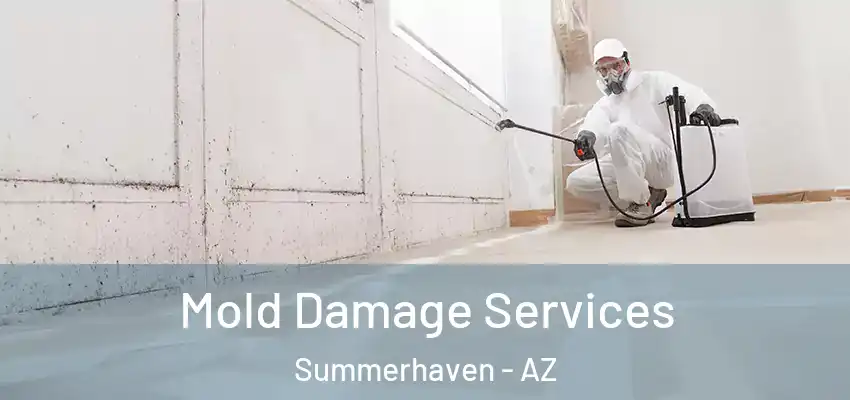 Mold Damage Services Summerhaven - AZ