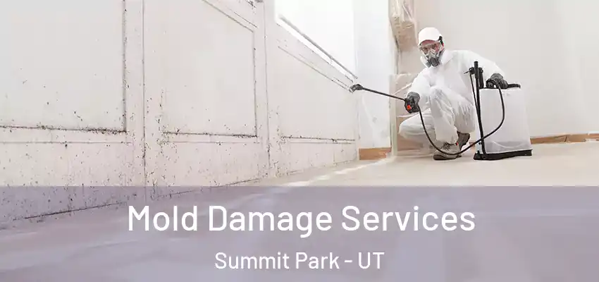 Mold Damage Services Summit Park - UT