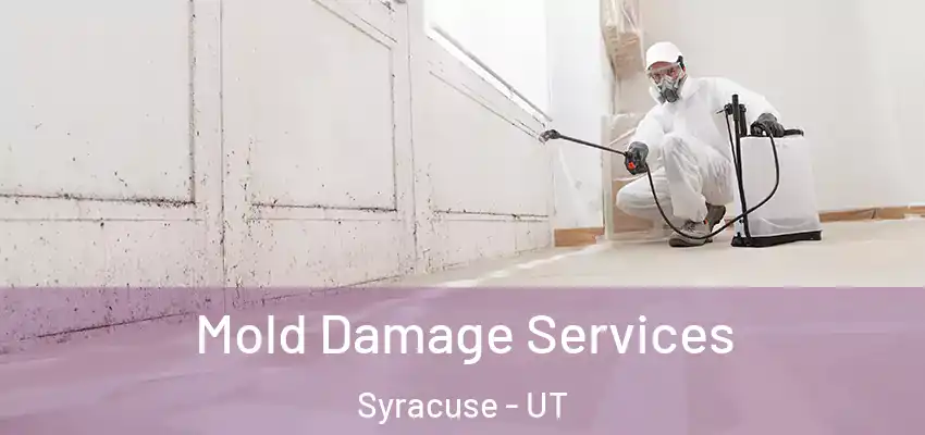  Mold Damage Services Syracuse - UT