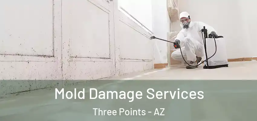 Mold Damage Services Three Points - AZ