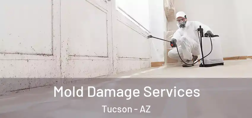  Mold Damage Services Tucson - AZ