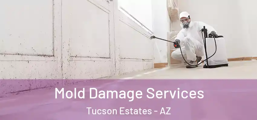 Mold Damage Services Tucson Estates - AZ