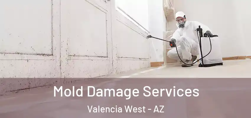  Mold Damage Services Valencia West - AZ