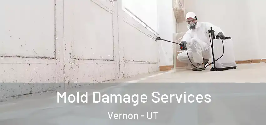 Mold Damage Services Vernon - UT